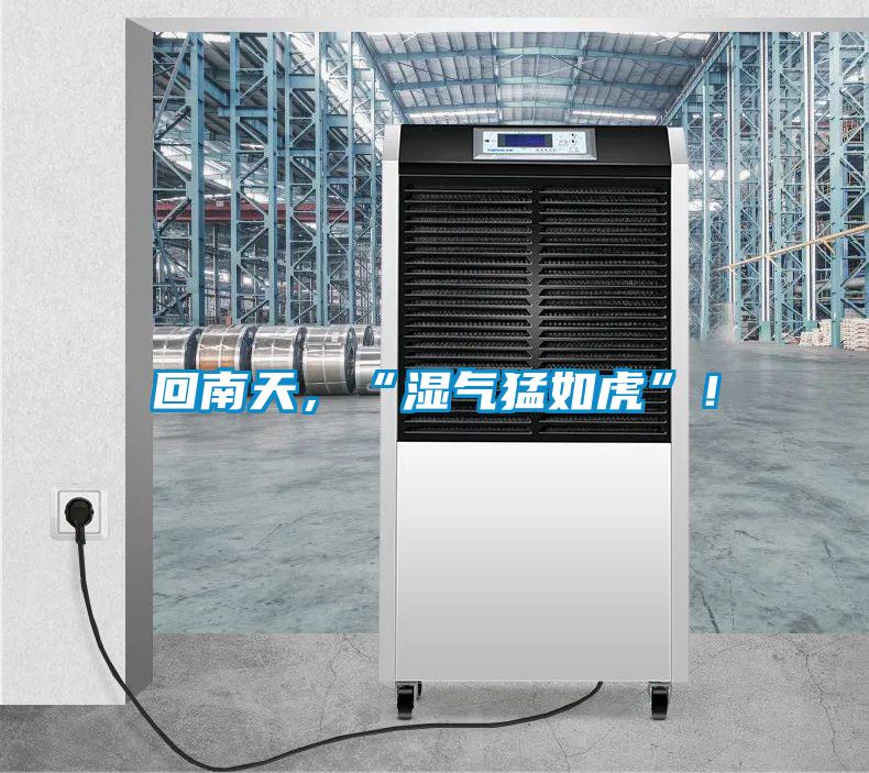 回南天，“濕氣猛如虎”！