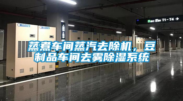 蒸煮車間蒸汽去除機，豆制品車間去霧除濕系統(tǒng)