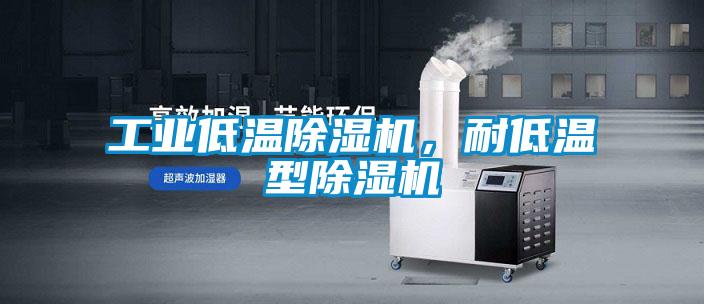 工業(yè)低溫除濕機(jī)，耐低溫型除濕機(jī)