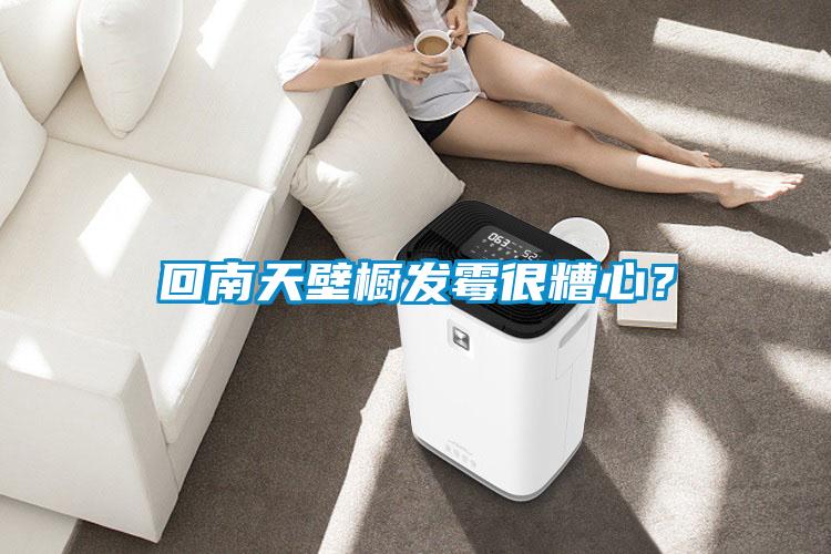 回南天壁櫥發(fā)霉很糟心？