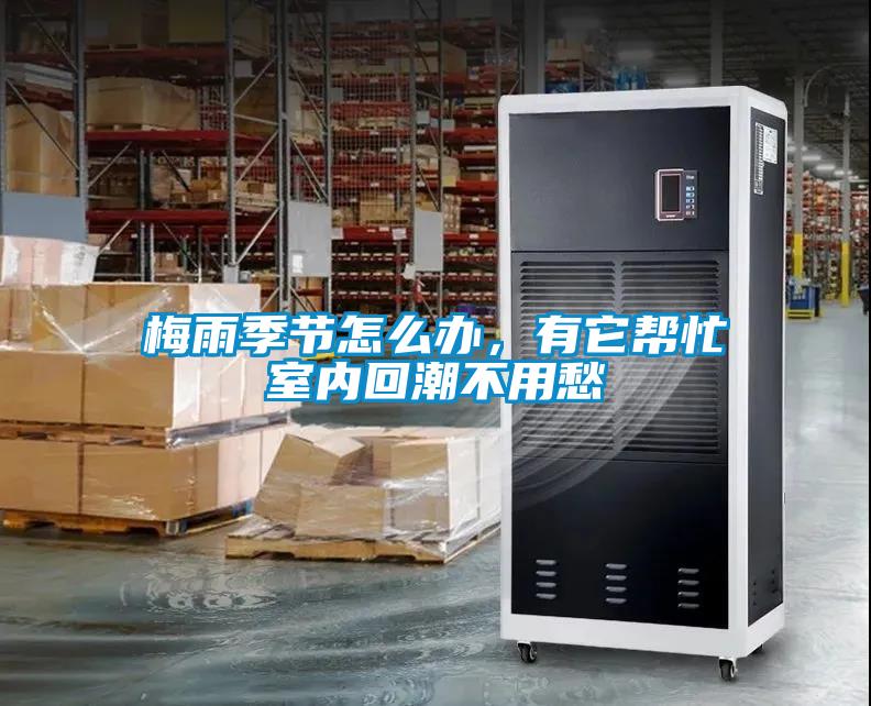 梅雨季節(jié)怎么辦，有它幫忙室內(nèi)回潮不用愁