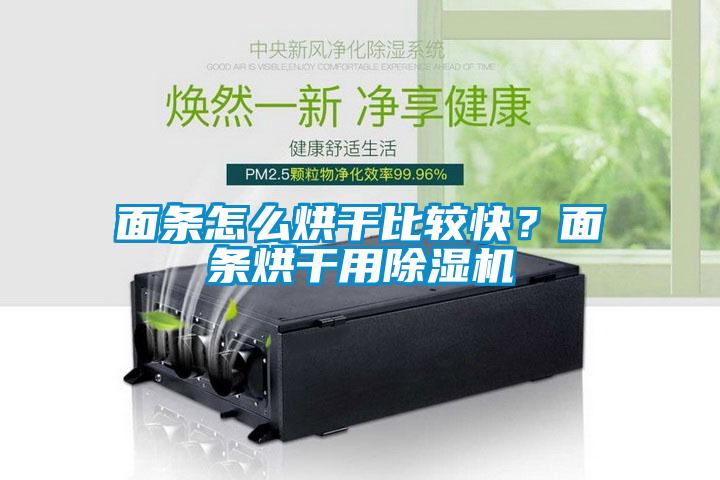 面條怎么烘干比較快？面條烘干用除濕機(jī)