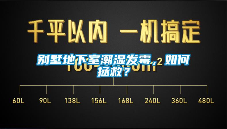 別墅地下室潮濕發(fā)霉，如何拯救？