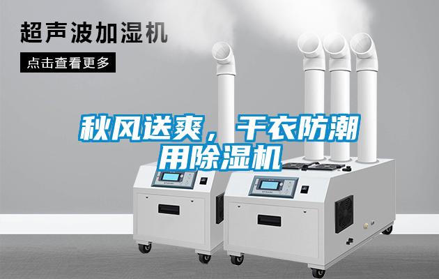 秋風(fēng)送爽，干衣防潮用除濕機