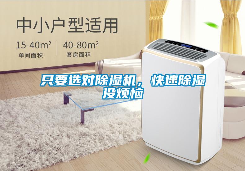 只要選對除濕機，快速除濕沒煩惱
