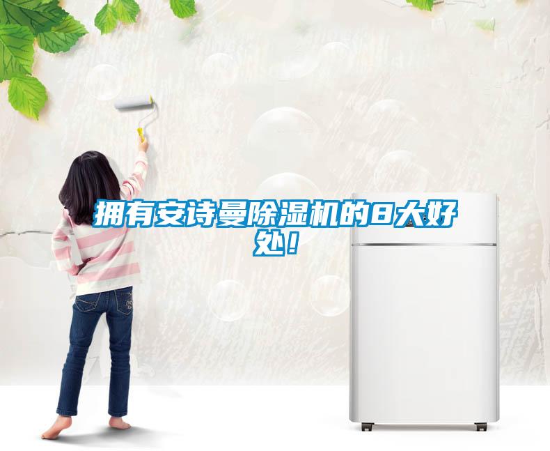 擁有安詩曼除濕機(jī)的8大好處！