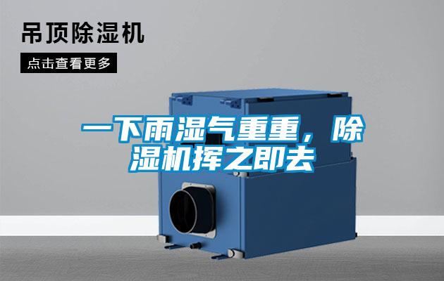 一下雨濕氣重重，除濕機(jī)揮之即去