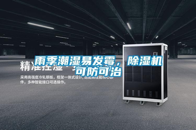 雨季潮濕易發(fā)霉，除濕機(jī)可防可治