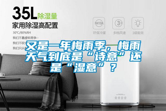 又是一年梅雨季，梅雨天氣到底是“詩(shī)意”還是“濕意”？