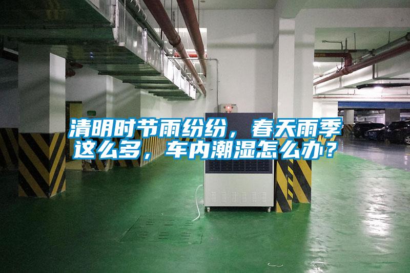 清明時節(jié)雨紛紛，春天雨季這么多，車內潮濕怎么辦？
