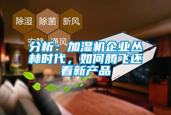 分析：加濕機(jī)企業(yè)叢林時(shí)代，如何騰飛還看新產(chǎn)品