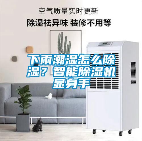 下雨潮濕怎么除濕？智能除濕機(jī)顯身手
