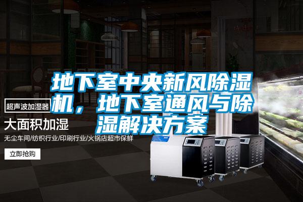 地下室中央新風除濕機，地下室通風與除濕解決方案