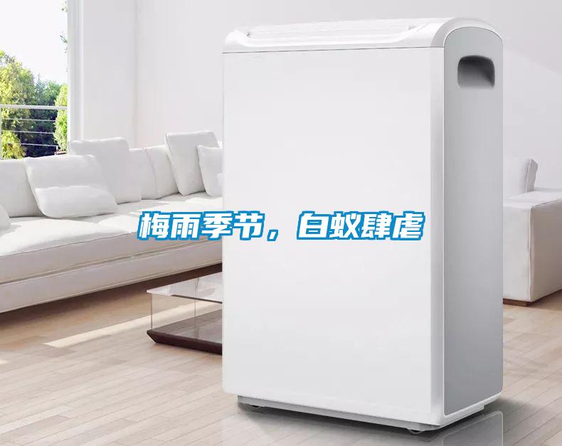 梅雨季節(jié)，白蟻肆虐