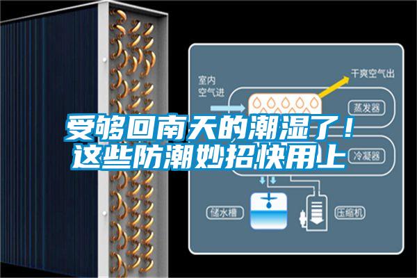 受夠回南天的潮濕了！這些防潮妙招快用上