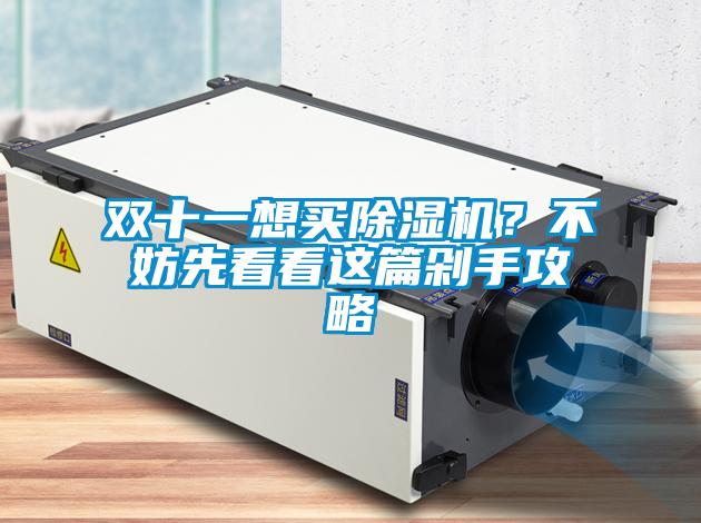 雙十一想買除濕機？不妨先看看這篇剁手攻略