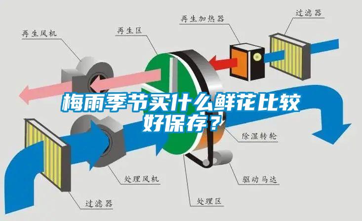 梅雨季節(jié)買什么鮮花比較好保存？