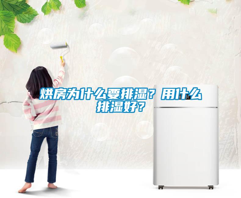烘房為什么要排濕？用什么排濕好？