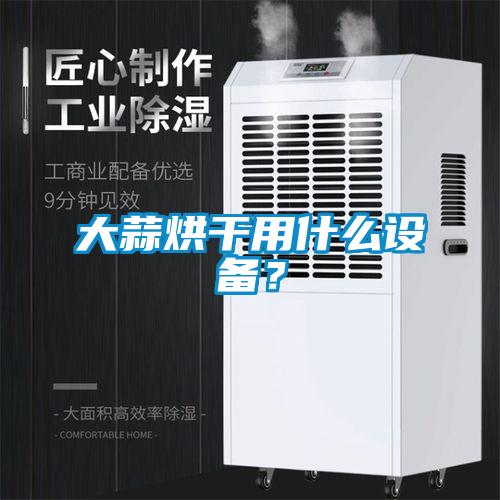 大蒜烘干用什么設(shè)備？