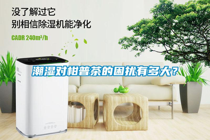 潮濕對柑普茶的困擾有多大？