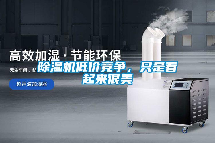 除濕機低價競爭，只是看起來很美