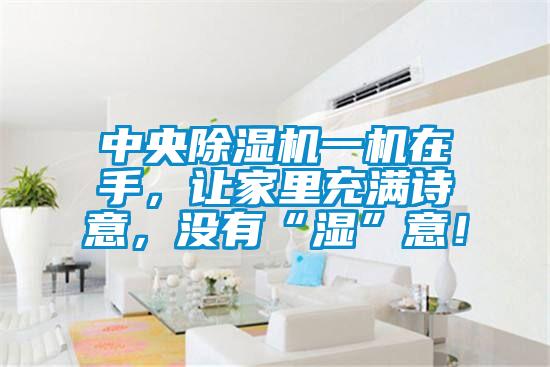 中央除濕機一機在手，讓家里充滿詩意，沒有“濕”意！