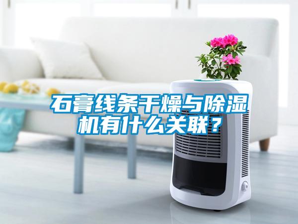 石膏線條干燥與除濕機有什么關聯？