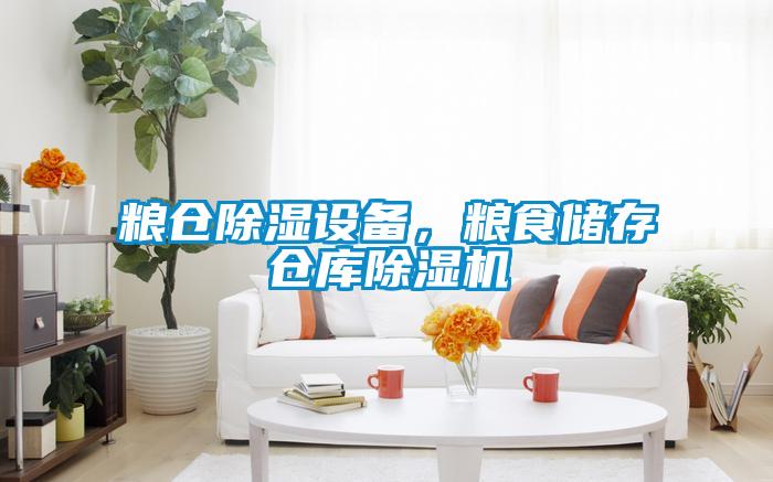 糧倉除濕設(shè)備，糧食儲存?zhèn)}庫除濕機