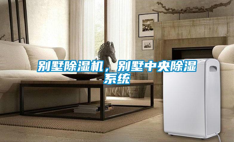 別墅除濕機，別墅中央除濕系統(tǒng)