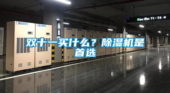 雙十一買什么？除濕機是首選