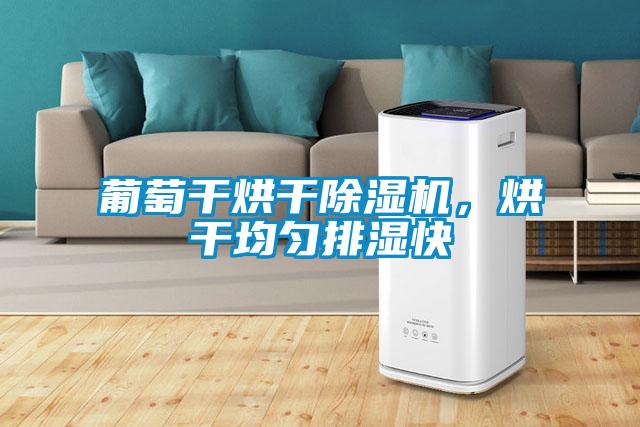 葡萄干烘干除濕機，烘干均勻排濕快