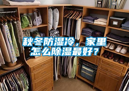 秋冬防濕冷，家里怎么除濕最好？