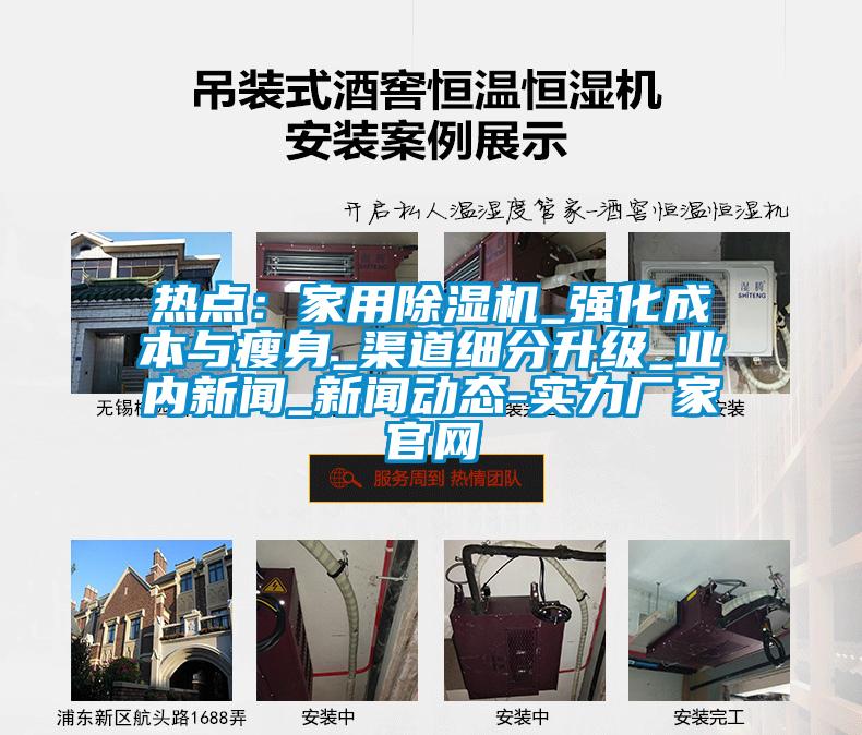 熱點：家用除濕機(jī)_強(qiáng)化成本與瘦身_渠道細(xì)分升級_業(yè)內(nèi)新聞_新聞動態(tài)-實力廠家官網(wǎng)