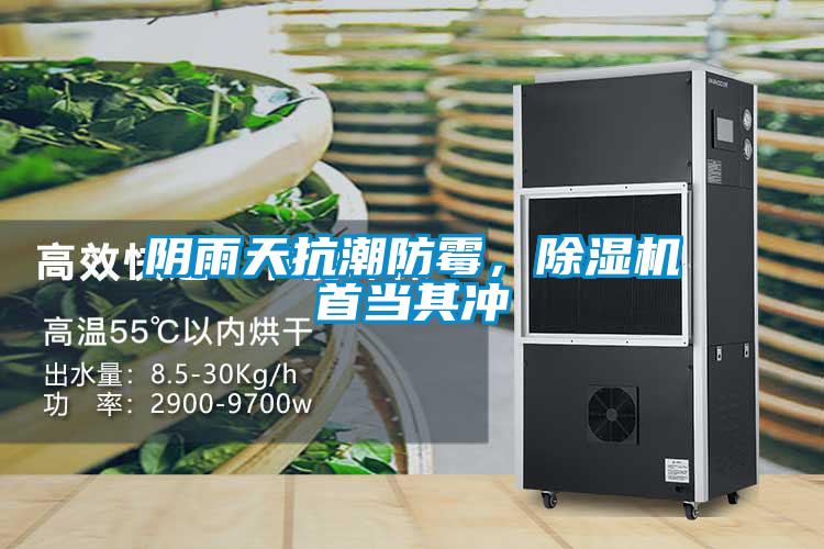 陰雨天抗潮防霉，除濕機(jī)首當(dāng)其沖