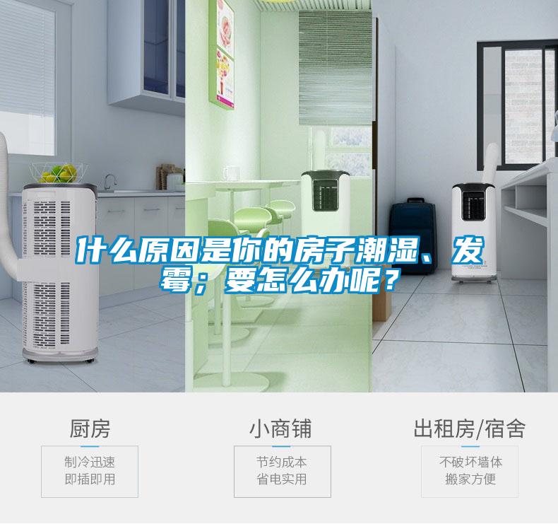 什么原因是你的房子潮濕、發(fā)霉；要怎么辦呢？