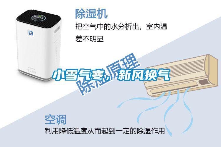 小雪氣寒，新風(fēng)換氣