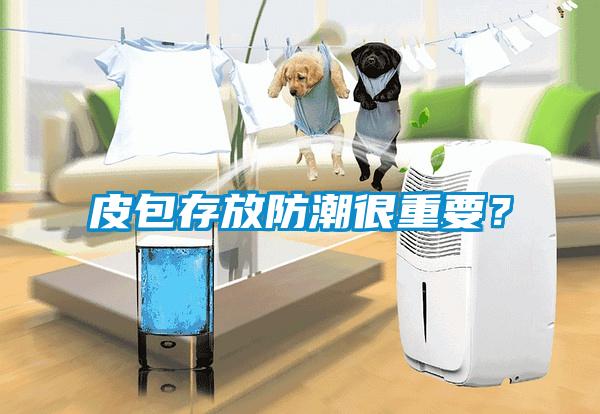 皮包存放防潮很重要？
