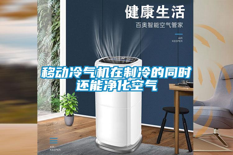 移動冷氣機(jī)在制冷的同時(shí)還能凈化空氣