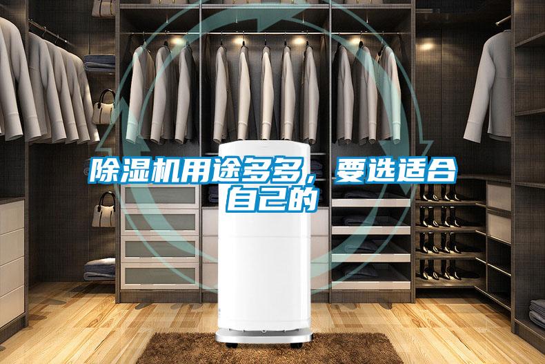 除濕機用途多多，要選適合自己的