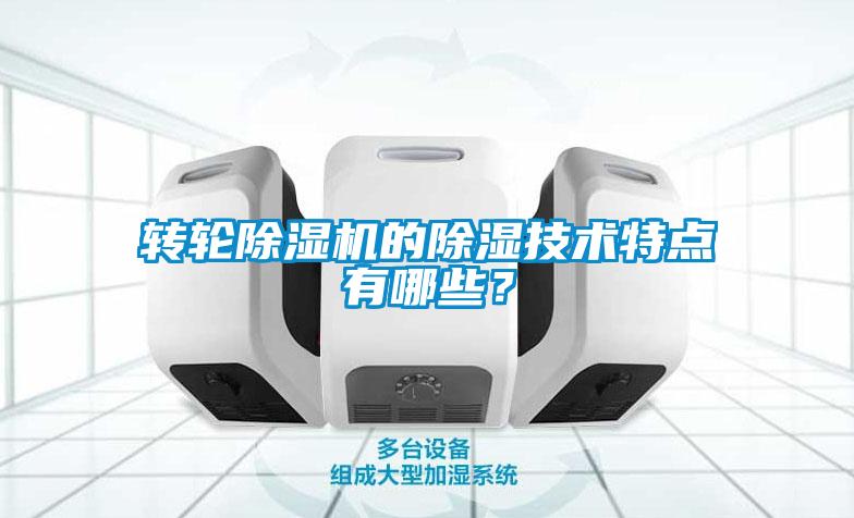 轉(zhuǎn)輪除濕機的除濕技術特點有哪些？