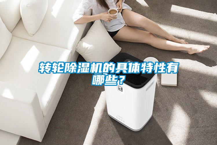 轉(zhuǎn)輪除濕機(jī)的具體特性有哪些？