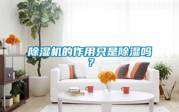 除濕機(jī)的作用只是除濕嗎？