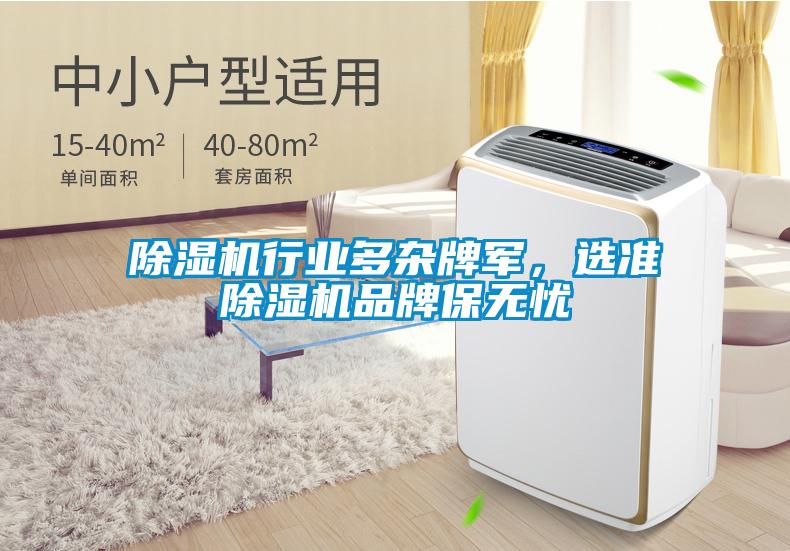 除濕機(jī)行業(yè)多雜牌軍，選準(zhǔn)除濕機(jī)品牌保無(wú)憂