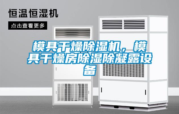 模具干燥除濕機(jī)，模具干燥房除濕除凝露設(shè)備