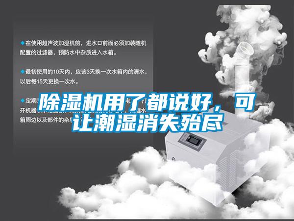 除濕機(jī)用了都說好，可讓潮濕消失殆盡