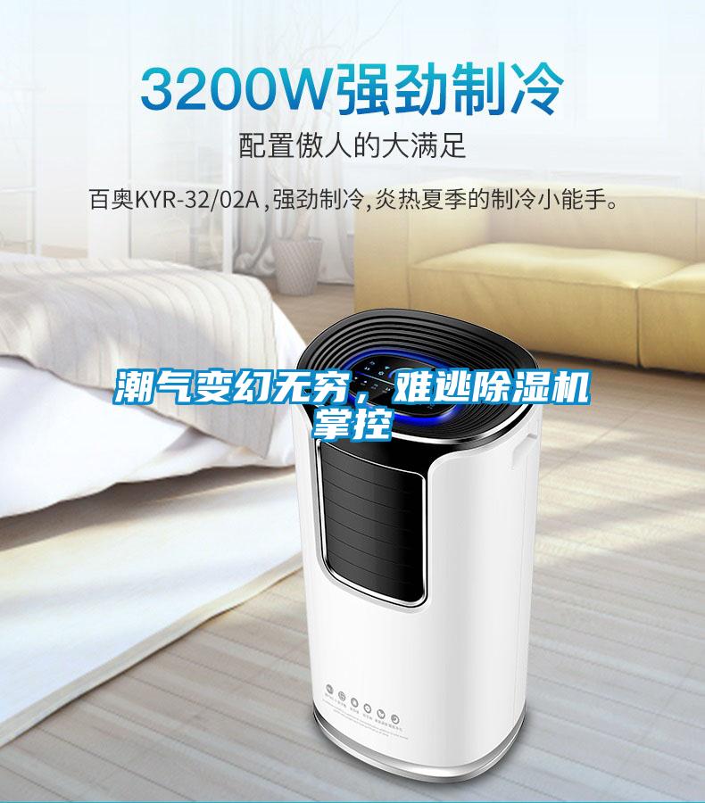 潮氣變幻無窮，難逃除濕機(jī)掌控