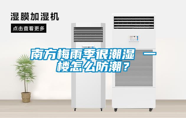 南方梅雨季很潮濕 一樓怎么防潮？