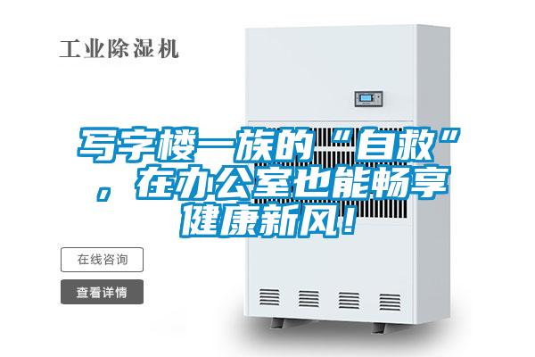 寫字樓一族的“自救”，在辦公室也能暢享健康新風(fēng)！