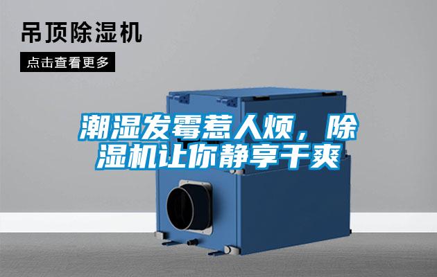 潮濕發(fā)霉惹人煩，除濕機(jī)讓你靜享干爽