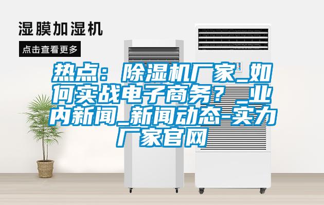 熱點(diǎn)：除濕機(jī)廠(chǎng)家_如何實(shí)戰(zhàn)電子商務(wù)？_業(yè)內(nèi)新聞_新聞動(dòng)態(tài)-實(shí)力廠(chǎng)家官網(wǎng)